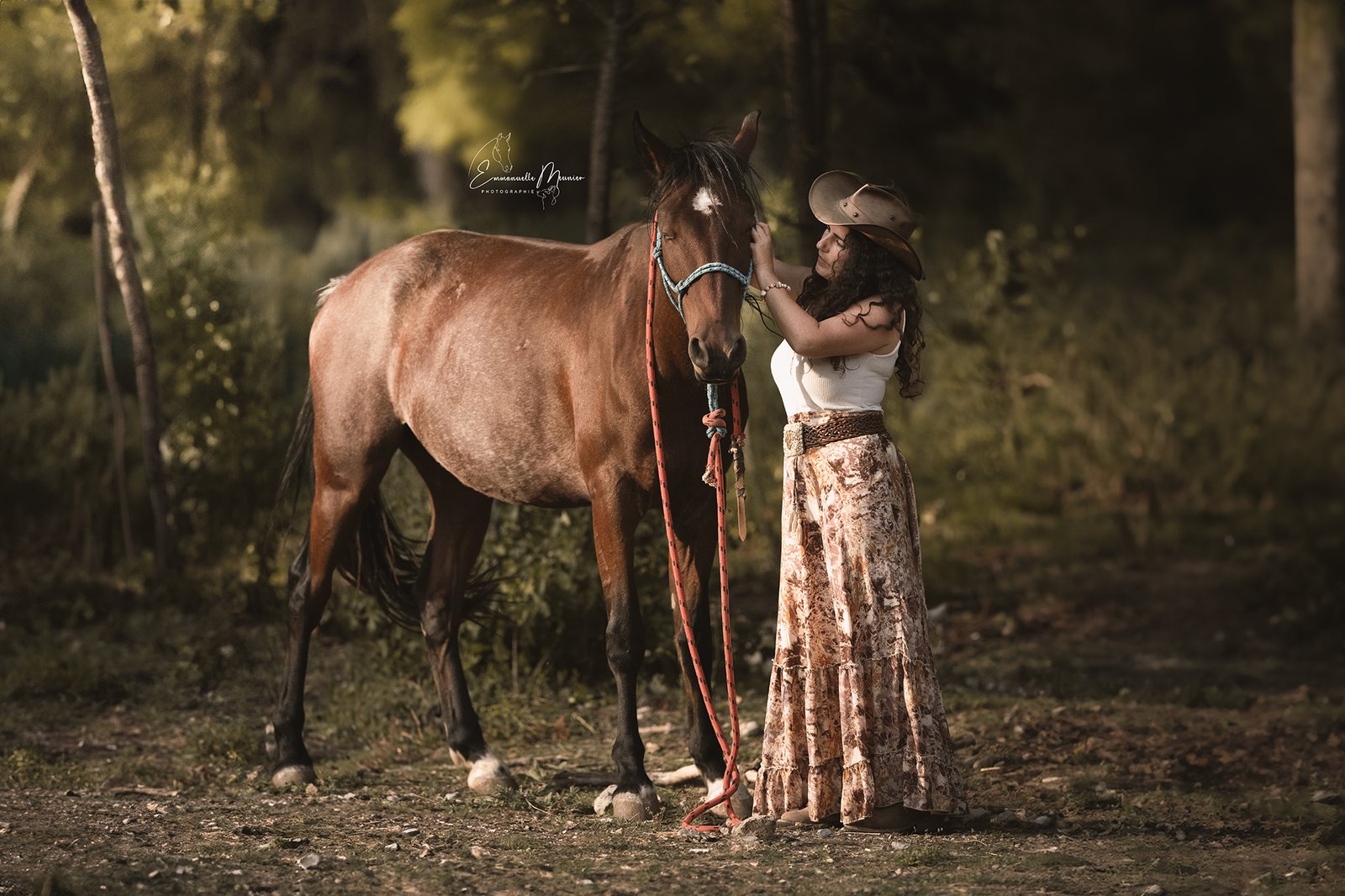 Photographie d'un cheval, Pas-de-Calais, par Emmanuelle Meunier