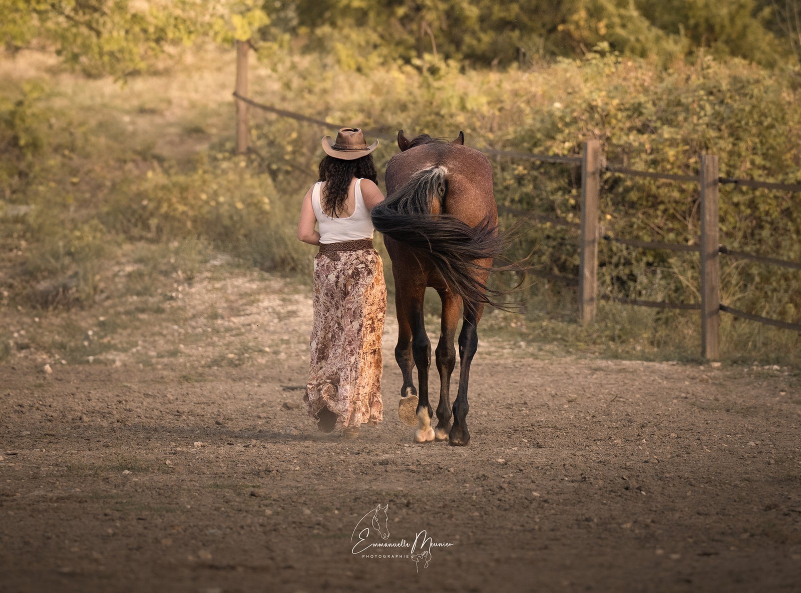 Photographie d'un cheval, Pas-de-Calais, par Emmanuelle Meunier