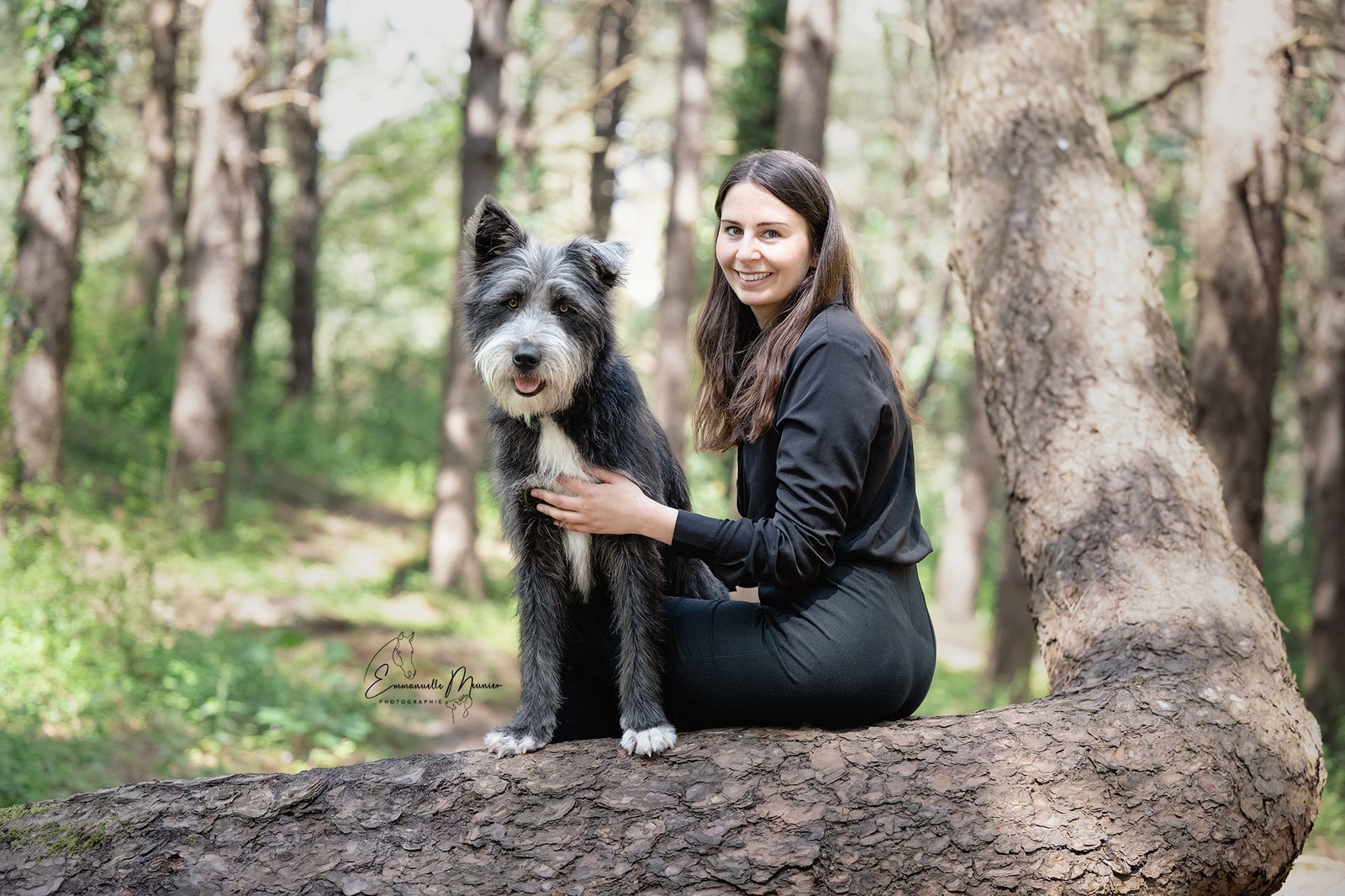 Photographie d'un chien dans la forêt, Pas-de-Calais, par Emmanuelle Meunier