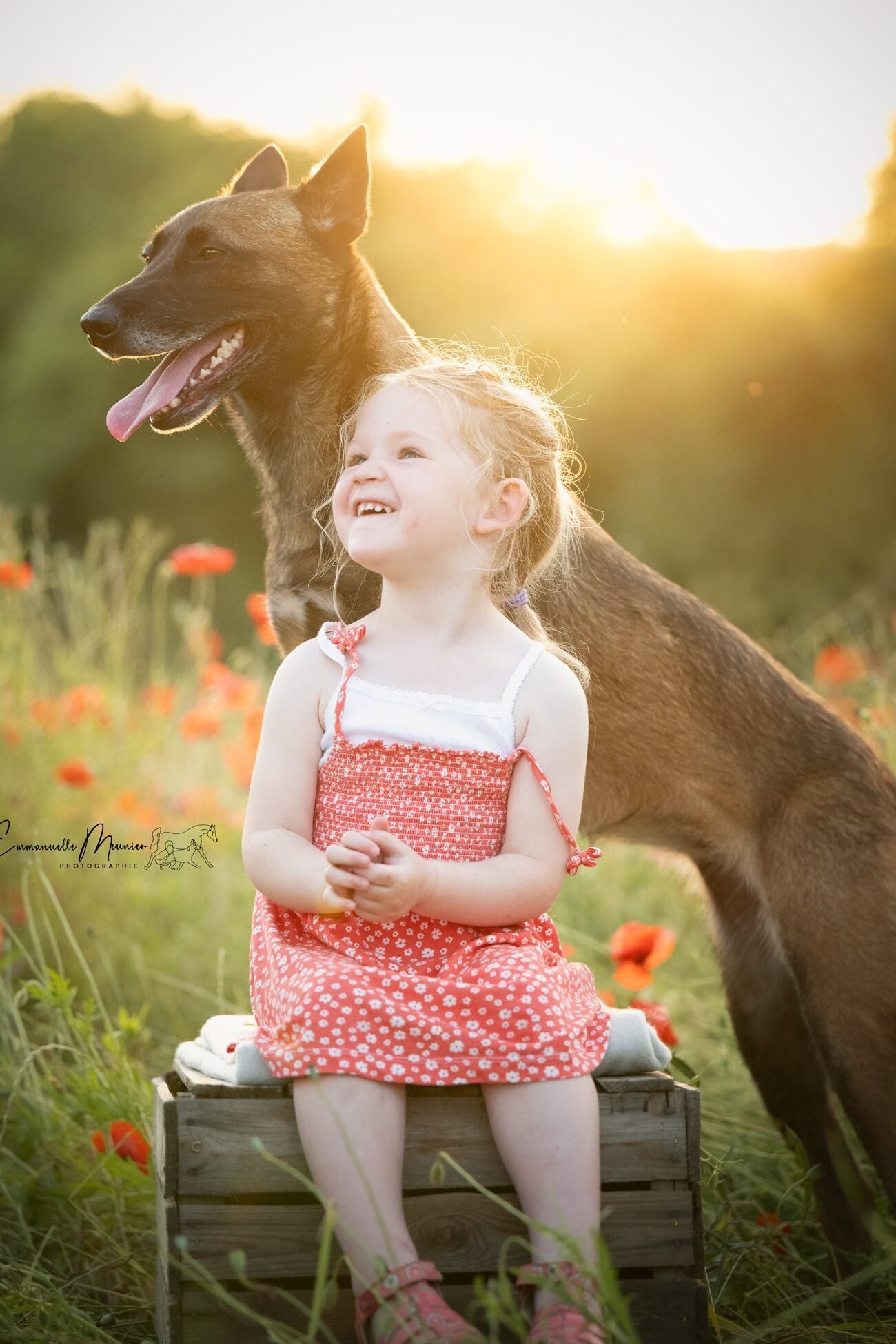 Photographie d'un chien avec une enfant dans les coquelicots, Pas-de-Calais, par Emmanuelle Meunier