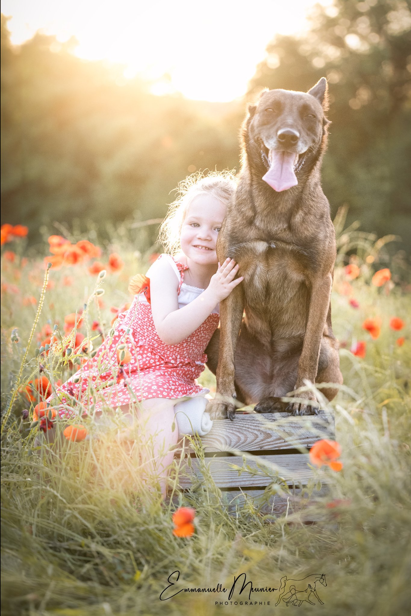 Photographie d'un chien avec une enfant dans les coquelicots, Pas-de-Calais, par Emmanuelle Meunier