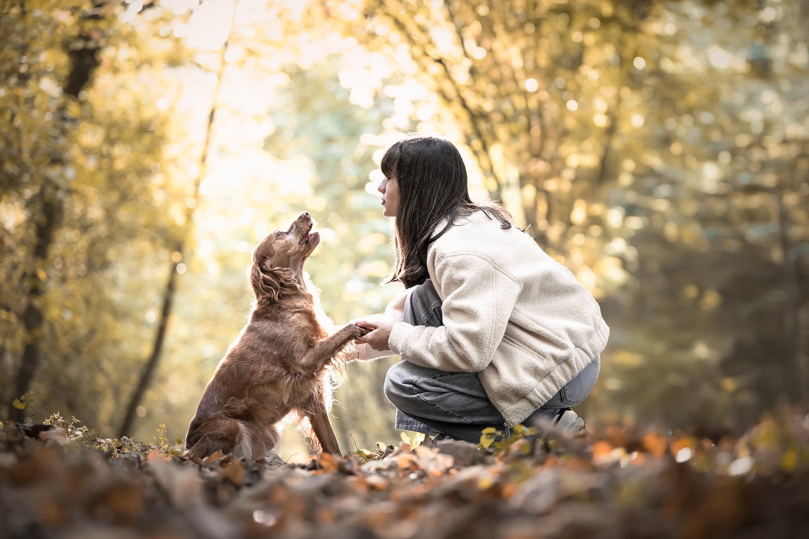 Chien - photographie (24)