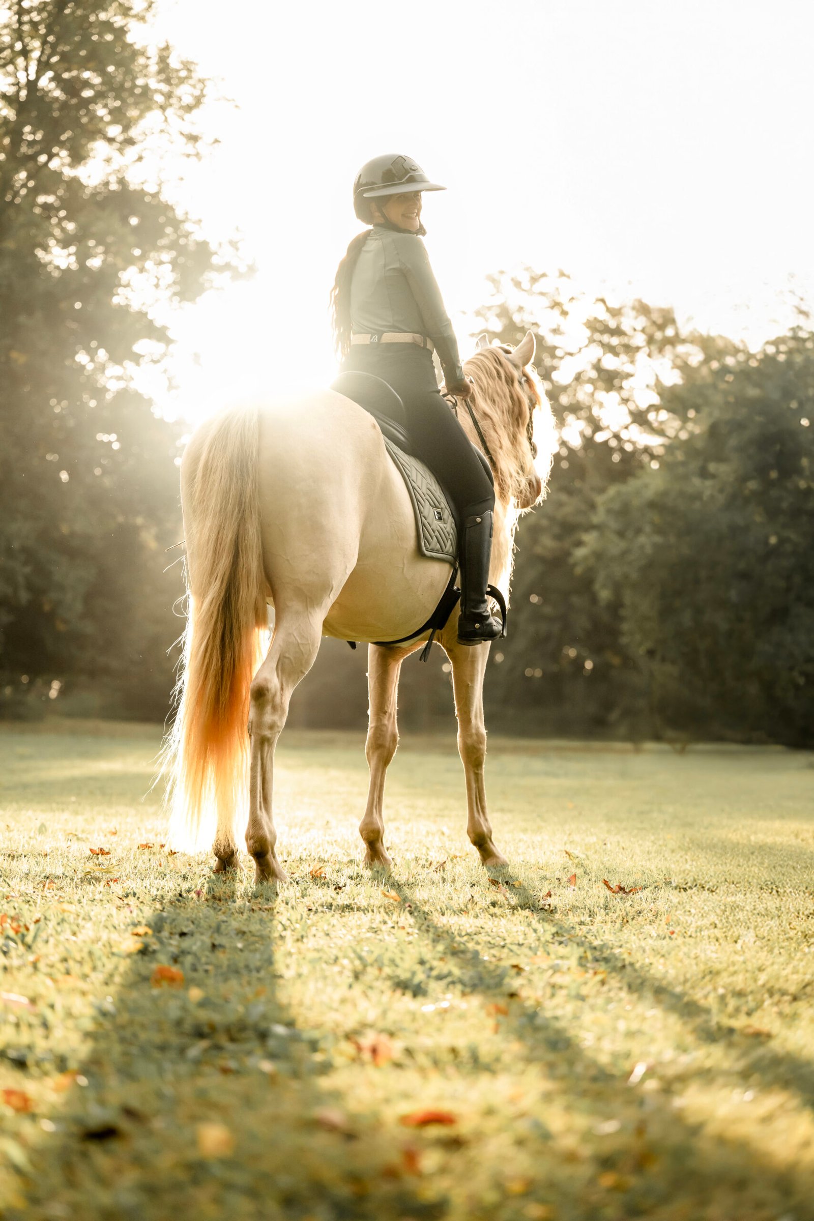 Photographe animalière ; Photographie animalière ; Photographe professionnelle ; Séance photo animale ; Shooting photo animalier ; Portrait animalier ; Photographe Hauts-de-France ; Photographe Somme ; Photographe Pas-de-Calais ; Photographe Nord ; Photographe Lille ; Photographe Amiens ; Photographe Arras ; Photographe Douai ; Photographe Lens ; Photographe Valenciennes ; Photographe Saint-Quentin ; Photographe extérieure ; Photographe nature ; Photographe lumière naturelle ; Photographe douce et patiente ; Photographe bienveillante ; Photographe chien ; Séance photo chien ; Shooting photo canin ; Portrait de chien ; Photo de chien en extérieur ; Photographie de chien en mouvement ; Photographe de chien Hauts-de-France ; Photographe canin Somme ; Photographe canin Pas-de-Calais ; Photographe canin Nord ; Photographe équin ; Photographe cheval ; Séance photo cheval ; Shooting photo équin ; Portrait de cheval ; Photo de cheval en extérieur ; Photographie de cheval en mouvement ; Photographe de cheval Hauts-de-France ; Photographe équin Somme ; Photographe équin Pas-de-Calais ; Photographe équin Nord ; Photographe lifestyle ; Séance photo famille avec animal ; Shooting photo couple avec animal ; Portraits en extérieur avec animal ; Photographe lifestyle Hauts-de-France ; Photographe lifestyle Somme ; Photographe lifestyle Pas-de-Calais ; Photographe lifestyle Nord ; Carte cadeau séance photo ; Offrir une séance photo animale ; Bon cadeau shooting photo ; Idée cadeau photographie animalière ; Galerie photo privée ; Accès galerie client ; Galerie en ligne séance photo ; Téléchargement photos séance ; Commande tirages photo ; Conseils photographie animalière ; Astuces photo chien ; Astuces photo cheval ; Histoires inspirantes animaux ; Coulisses séance photo ; Actualités photographe animalière ; Emmanuelle Meunier ; Emmanuelle Meunier Photographie ; Photographe Emmanuelle Meunier ; Emmanuelle Meunier photographe animalière ; Emmanuelle Meunier Hauts-de-France ; Emmanuelle Meunier Somme ; Emmanuelle Meunier Pas-de-Calais ; Emmanuelle Meunier Nord ; Shooting photo chien Amiens ; Séance photo cheval Arras ; Photographe canine Lille ; Photographe équine Lens ; Portrait animal Valenciennes ; Photo chien Saint-Quentin ; Photo cheval nature Hauts-de-France ; Portrait chien complicité ; Shooting équin lumière naturelle ; Photo artistique chien ; Photo artistique cheval