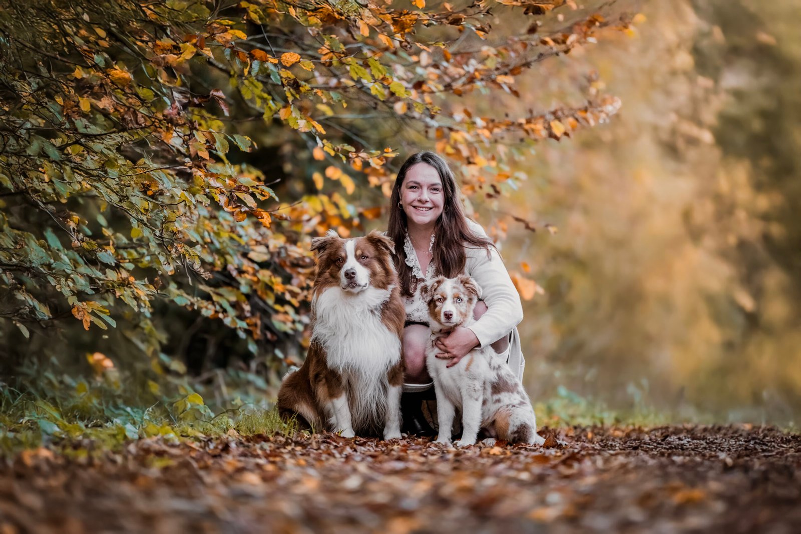 Photographe animalière ; Photographie animalière ; Photographe professionnelle ; Séance photo animale ; Shooting photo animalier ; Portrait animalier ; Photographe Hauts-de-France ; Photographe Somme ; Photographe Pas-de-Calais ; Photographe Nord ; Photographe Lille ; Photographe Amiens ; Photographe Arras ; Photographe Douai ; Photographe Lens ; Photographe Valenciennes ; Photographe Saint-Quentin ; Photographe extérieure ; Photographe nature ; Photographe lumière naturelle ; Photographe douce et patiente ; Photographe bienveillante ; Photographe chien ; Séance photo chien ; Shooting photo canin ; Portrait de chien ; Photo de chien en extérieur ; Photographie de chien en mouvement ; Photographe de chien Hauts-de-France ; Photographe canin Somme ; Photographe canin Pas-de-Calais ; Photographe canin Nord ; Photographe équin ; Photographe cheval ; Séance photo cheval ; Shooting photo équin ; Portrait de cheval ; Photo de cheval en extérieur ; Photographie de cheval en mouvement ; Photographe de cheval Hauts-de-France ; Photographe équin Somme ; Photographe équin Pas-de-Calais ; Photographe équin Nord ; Photographe lifestyle ; Séance photo famille avec animal ; Shooting photo couple avec animal ; Portraits en extérieur avec animal ; Photographe lifestyle Hauts-de-France ; Photographe lifestyle Somme ; Photographe lifestyle Pas-de-Calais ; Photographe lifestyle Nord ; Carte cadeau séance photo ; Offrir une séance photo animale ; Bon cadeau shooting photo ; Idée cadeau photographie animalière ; Galerie photo privée ; Accès galerie client ; Galerie en ligne séance photo ; Téléchargement photos séance ; Commande tirages photo ; Conseils photographie animalière ; Astuces photo chien ; Astuces photo cheval ; Histoires inspirantes animaux ; Coulisses séance photo ; Actualités photographe animalière ; Emmanuelle Meunier ; Emmanuelle Meunier Photographie ; Photographe Emmanuelle Meunier ; Emmanuelle Meunier photographe animalière ; Emmanuelle Meunier Hauts-de-France ; Emmanuelle Meunier Somme ; Emmanuelle Meunier Pas-de-Calais ; Emmanuelle Meunier Nord ; Shooting photo chien Amiens ; Séance photo cheval Arras ; Photographe canine Lille ; Photographe équine Lens ; Portrait animal Valenciennes ; Photo chien Saint-Quentin ; Photo cheval nature Hauts-de-France ; Portrait chien complicité ; Shooting équin lumière naturelle ; Photo artistique chien ; Photo artistique cheval
