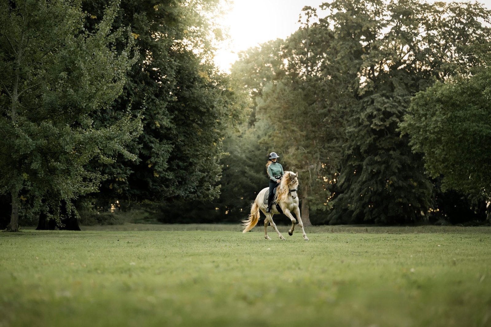 Photographe animalière ; Photographie animalière ; Photographe professionnelle ; Séance photo animale ; Shooting photo animalier ; Portrait animalier ; Photographe Hauts-de-France ; Photographe Somme ; Photographe Pas-de-Calais ; Photographe Nord ; Photographe Lille ; Photographe Amiens ; Photographe Arras ; Photographe Douai ; Photographe Lens ; Photographe Valenciennes ; Photographe Saint-Quentin ; Photographe extérieure ; Photographe nature ; Photographe lumière naturelle ; Photographe douce et patiente ; Photographe bienveillante ; Photographe chien ; Séance photo chien ; Shooting photo canin ; Portrait de chien ; Photo de chien en extérieur ; Photographie de chien en mouvement ; Photographe de chien Hauts-de-France ; Photographe canin Somme ; Photographe canin Pas-de-Calais ; Photographe canin Nord ; Photographe équin ; Photographe cheval ; Séance photo cheval ; Shooting photo équin ; Portrait de cheval ; Photo de cheval en extérieur ; Photographie de cheval en mouvement ; Photographe de cheval Hauts-de-France ; Photographe équin Somme ; Photographe équin Pas-de-Calais ; Photographe équin Nord ; Photographe lifestyle ; Séance photo famille avec animal ; Shooting photo couple avec animal ; Portraits en extérieur avec animal ; Photographe lifestyle Hauts-de-France ; Photographe lifestyle Somme ; Photographe lifestyle Pas-de-Calais ; Photographe lifestyle Nord ; Carte cadeau séance photo ; Offrir une séance photo animale ; Bon cadeau shooting photo ; Idée cadeau photographie animalière ; Galerie photo privée ; Accès galerie client ; Galerie en ligne séance photo ; Téléchargement photos séance ; Commande tirages photo ; Conseils photographie animalière ; Astuces photo chien ; Astuces photo cheval ; Histoires inspirantes animaux ; Coulisses séance photo ; Actualités photographe animalière ; Emmanuelle Meunier ; Emmanuelle Meunier Photographie ; Photographe Emmanuelle Meunier ; Emmanuelle Meunier photographe animalière ; Emmanuelle Meunier Hauts-de-France ; Emmanuelle Meunier Somme ; Emmanuelle Meunier Pas-de-Calais ; Emmanuelle Meunier Nord ; Shooting photo chien Amiens ; Séance photo cheval Arras ; Photographe canine Lille ; Photographe équine Lens ; Portrait animal Valenciennes ; Photo chien Saint-Quentin ; Photo cheval nature Hauts-de-France ; Portrait chien complicité ; Shooting équin lumière naturelle ; Photo artistique chien ; Photo artistique cheval